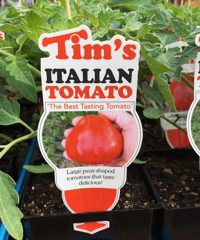 Tim's Italian Tomato