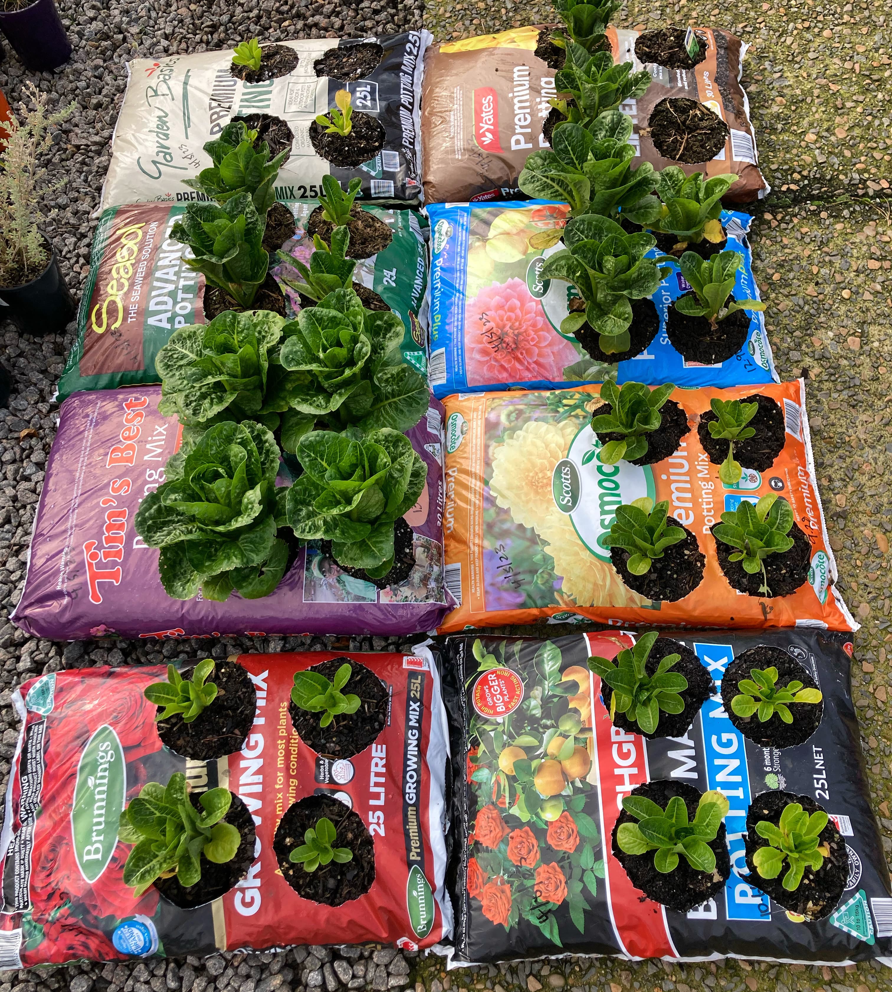 Tim's Best Potting Mix — image 1