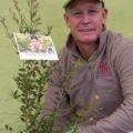 Size of plants varies depending on the season, so please contact the nursery prior to ordering